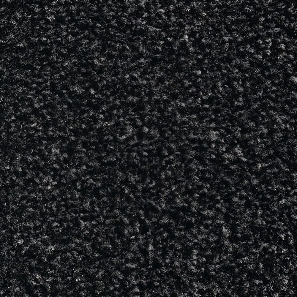 Deurmat Star 180 x 120cm kleur 77-zwart